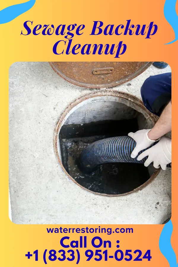 Sewage Backup Cleanup in Vale Summit, MD